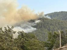 Alanya'daki orman yangınında 3'üncü gün