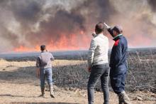 Yüksekova'da Nehil Sazlığı'nda yangın