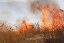 Yüksekova'da Nehil Sazlığı'nda yangın