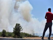 Antalya'da orman yangını