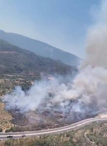 Muğlada tarım arazisinde yangın