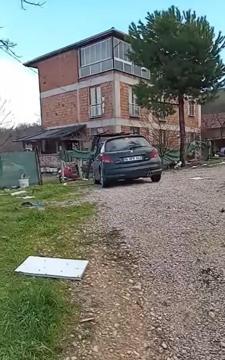 Bahçesine giren sokak köpeğini tüfekle vurup öldürdü