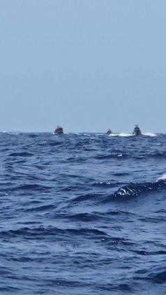 İsrail ordusu, Küresel Sumud Filosuna saldırdı