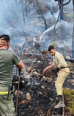 Antalyada orman yangını kontrol altında