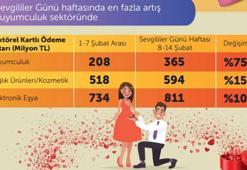 BKM: Kartlı ödemeler Ocak'ta yüzde 22 artışla 60 milyar lirayı aştı