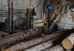 Simav'da 'kerestecilik' kan kaybediyor