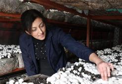 Mantar üretim tesisi kurup mahallesindeki kadınlara iş kapısı oldu