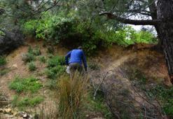 Mantar toplarken dikkat