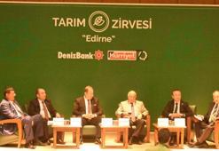 Edirne'nin tarımı, zirvede masaya yatırıldı