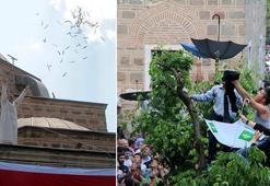 Şifalı mesir macunu 478'inci kez Sultan Camii'nden saçıldı