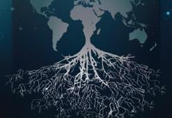 2017’de her dört bilişim şirketinden üçü büyüdü