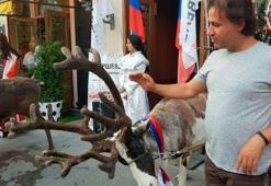 Moskova'da dünya kupası ''geyiği''