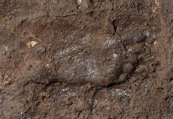 Van'da Urartuların ayak izine rastlandı