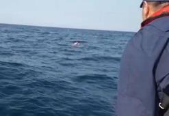 Dikili'de göçmen teknesi battı: 4 ölü, 6 kayıp