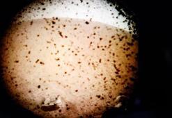 NASA 6 yıl sonra Mars'a indi! İlk görüntü Dünya'ya ulaştı