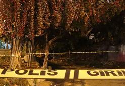 Domuz avında, kardeşinin tüfeğinin kazara ateş almasıyla öldü