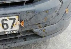 Samsun’da ‘kelebek’ istilası