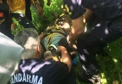 10 gündür kayıp Alzheimer hastası, dere suyu içerek hayatta kalmış