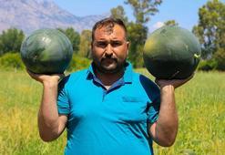 500 ton karpuz elinde kalan çiftçi: Bu yıl da evde kaldım