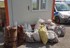 Nesli tehlike altında bulunan türler listesinde... Ağrı'da bulundu, rekor ceza!