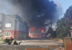 Gebze’deki yangın, fabrikalara sıçradı