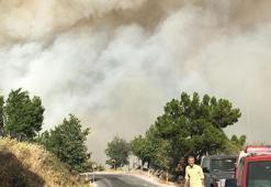 İzmir felaketi yaşıyor! Köy tahliye edildi