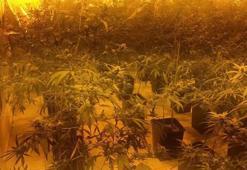 İzmir'de uyuşturucu operasyonu