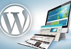 Wordpress ile hazırlanan internet sitelerini bekleyen tehlike