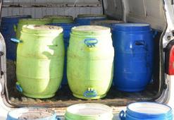 Keşan'da 300 kilo deniz patlıcanı el geçirildi