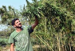 Kenevir üreterek Türk çiftçisine örnek olacaklar