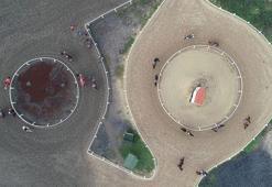 Milyonluk safkanlar, binlerce kişiye istihdam sağlıyor