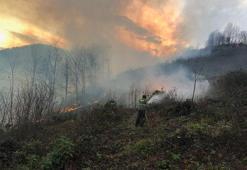 Karadeniz'de 69 noktada yangın: 6 ev yandı, tarım arazileri zarar gördü