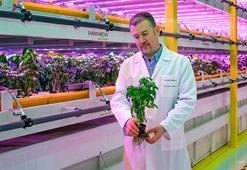 Türkiye'nin ilk bitki fabrikası