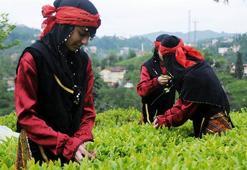 Çay üretilen Rize, en çok çay ithal edilen il çıktı