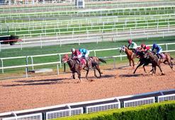 Adana’da 6’ncı Özgecan Aslan Koşusu yapıldı