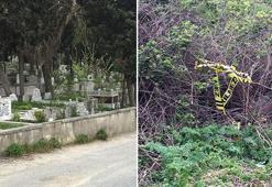 Avcılar’da mezarlık yanındaki çuvalda bulunan insan kemiklerine Adli Tıp incelemesi