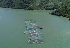 Koronavirüsten sonra artan somon siparişlerine yetişemiyorlar