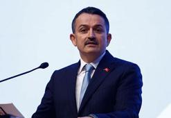 Bakan Pakdemirli: Deniz patlıcanı avcılığı sona erdi