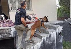 Osmaniye'de hava destekli 'torbacı' operasyonu: 30 gözaltı