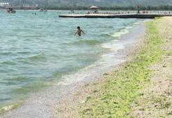 İstanbul plajlarına uyarı