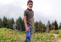 Rize'de, ormanda kaybolan çocuk bulundu