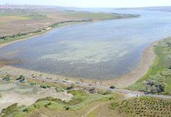 Büyükçekmece Gölü'nde su seviyesi düştü; son durum havadan fotoğraflandı