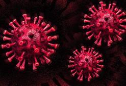 ABD basını, salgını dikkate almayan zenginleri böyle eleştirdi