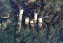 Denizdeki 2 bin yıllık granit sütunlar ilgi görüyor