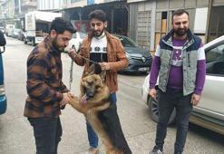 Köpeği çaldığı sanılıyordu; aracıyla çarpınca veterinere götürmüş