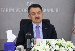 Bakan Pakdemirli: Çin'e ilk kez kanatlı et ve ürünleri ihracatı başladı