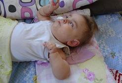 Minik İkra Deniz'in sadece 6 ayı kaldı