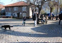 Koronavirüsün görülmediği köyden arsa satın almak istiyorlar