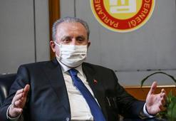TBMM Başkanı Şentop: Her kurumu itibarsızlaştırmaya çalışırsak, devlet kalmaz
