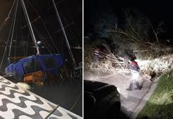 İzmir'de fırtına; ağaçlar devrildi, çatılar uçtu, araçlar zarar gördü